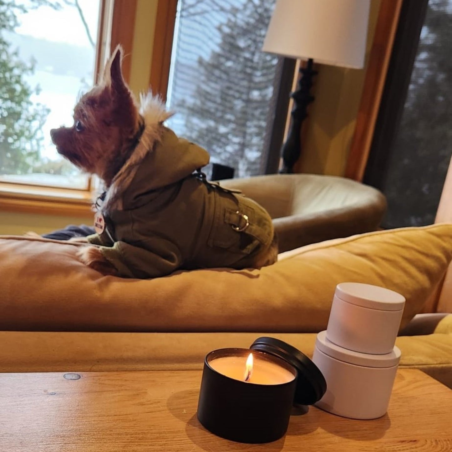 Pet Purifier